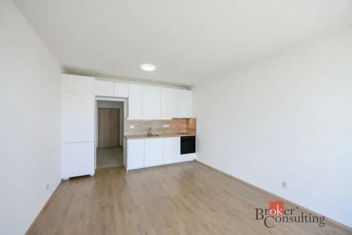 Pronájem bytu 1+kk, Plzeň - Jižní Předměstí, Železná, 31 m2