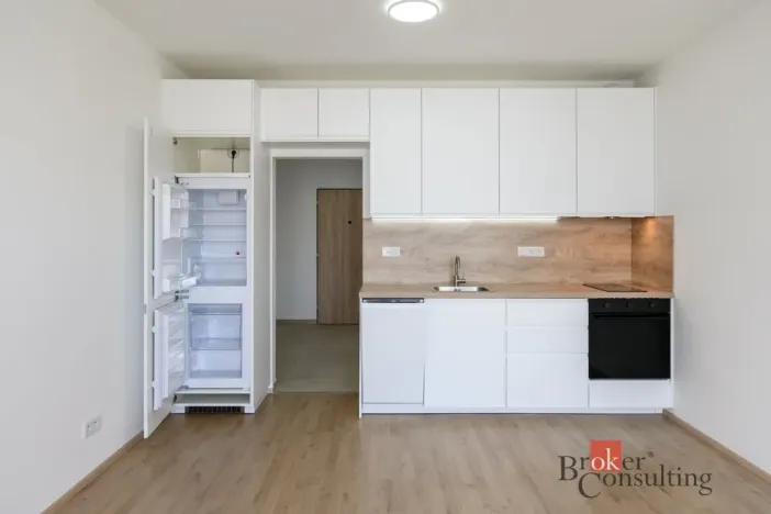 Pronájem bytu 1+kk, Plzeň - Jižní Předměstí, Železná, 31 m2