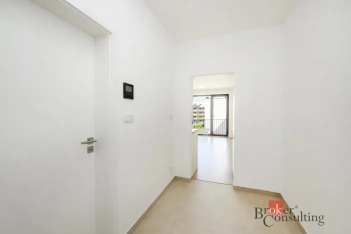 Pronájem bytu 1+kk, Plzeň - Jižní Předměstí, Železná, 31 m2