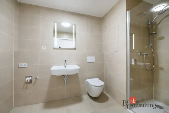 Pronájem bytu 1+kk, Plzeň - Jižní Předměstí, Železná, 31 m2