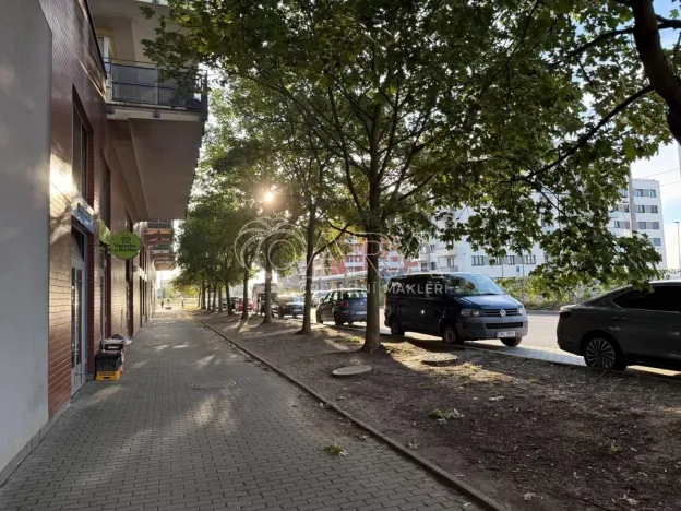 Pronájem bytu 1+kk, Praha - Hlubočepy, Werichova, 28 m2