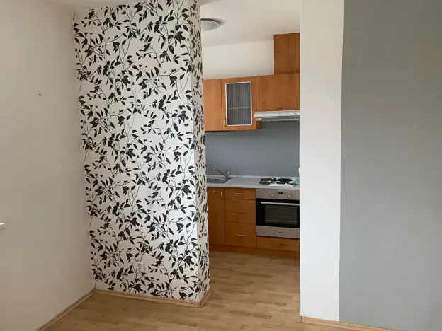 Pronájem bytu 1+1, Brno, Lučiny, 30 m2