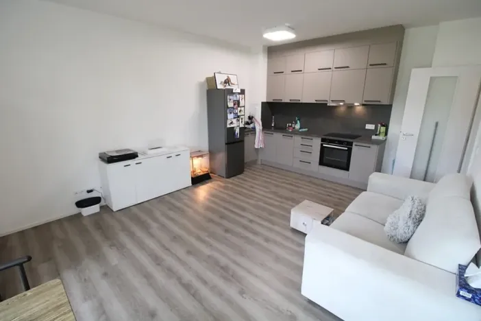 Pronájem bytu 1+kk, Zbiroh, Majerové, 40 m2