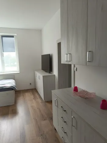 Pronájem bytu 4+1, Příkosice, 115 m2