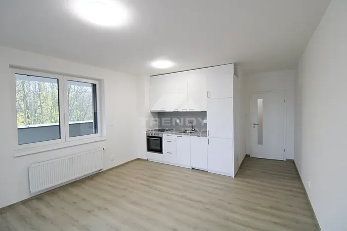 Pronájem bytu 2+kk, Plzeň, Heyrovského, 56 m2