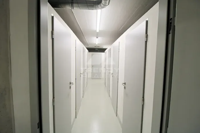 Pronájem bytu 2+kk, Plzeň, Heyrovského, 56 m2