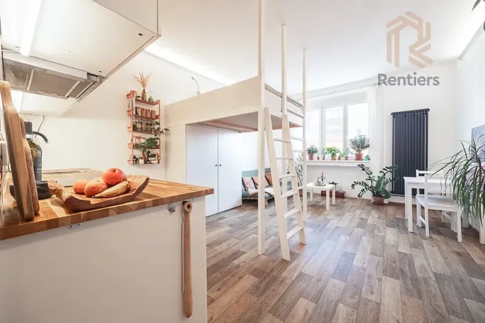 Pronájem bytu 1+kk, Praha - Nusle, V Horkách, 32 m2