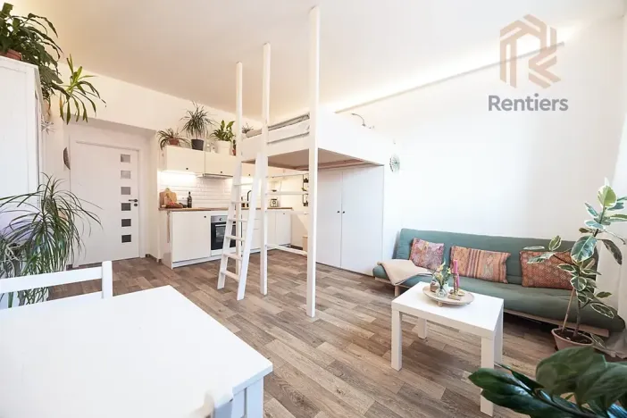 Pronájem bytu 1+kk, Praha - Nusle, V Horkách, 32 m2