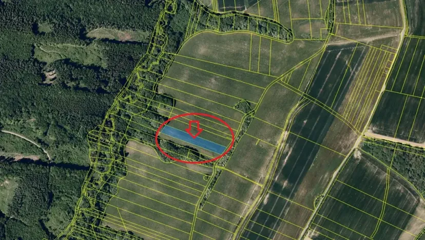 Prodej podílu pole, Šarovy, 1052 m2