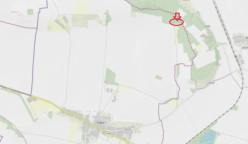 Prodej lesa, Cítov, 1601 m2