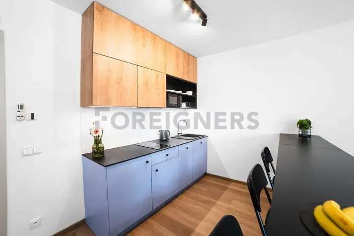 Pronájem bytu 1+kk, Olomouc, Edmunda Husserla, 43 m2