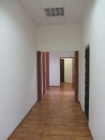 Pronájem bytu 5+1, Brno, Masarykova, 140 m2