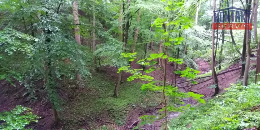Prodej lesa, Životice u Nového Jičína, 12739 m2