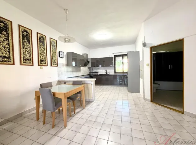 Prodej rodinného domu, Ostrava - Hrabůvka, Edisonova, 248 m2