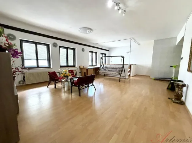 Prodej rodinného domu, Ostrava - Hrabůvka, Edisonova, 248 m2