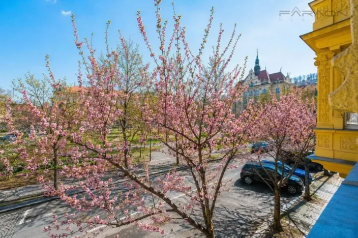 Pronájem bytu 4+kk, Praha - Karlín, Křižíkova, 110 m2
