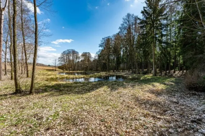 Prodej komerčního pozemku, Zbraslavice - Rápošov, 13515 m2