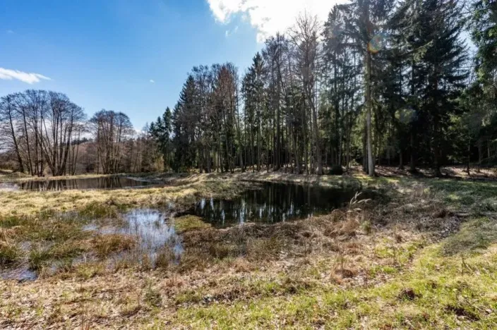 Prodej komerčního pozemku, Zbraslavice - Rápošov, 13515 m2