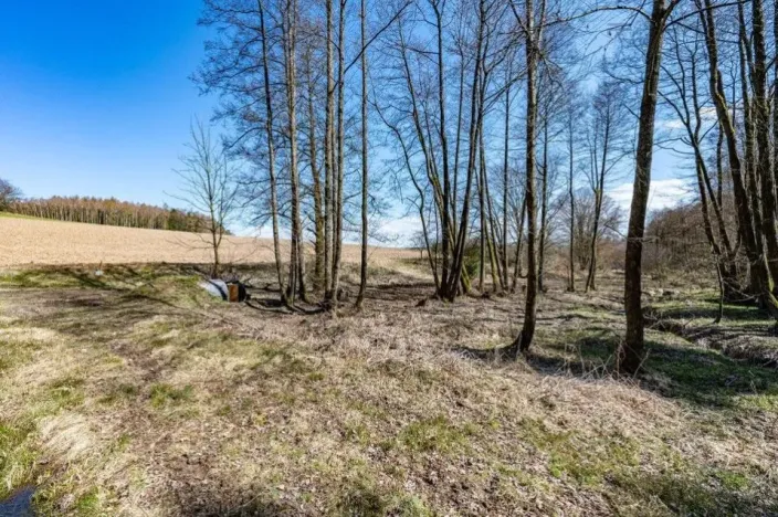 Prodej komerčního pozemku, Zbraslavice - Rápošov, 13515 m2