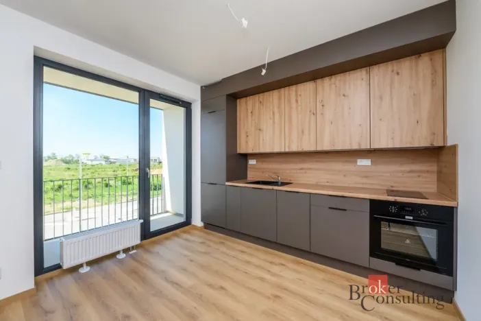 Pronájem bytu 1+kk, Plzeň - Jižní Předměstí, Železná, 29 m2