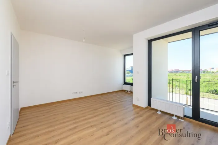Pronájem bytu 1+kk, Plzeň - Jižní Předměstí, Železná, 29 m2