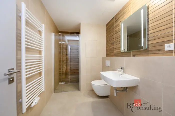 Pronájem bytu 1+kk, Plzeň - Jižní Předměstí, Železná, 29 m2