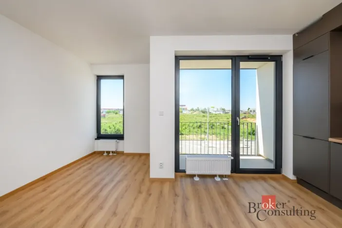 Pronájem bytu 1+kk, Plzeň - Jižní Předměstí, Železná, 29 m2