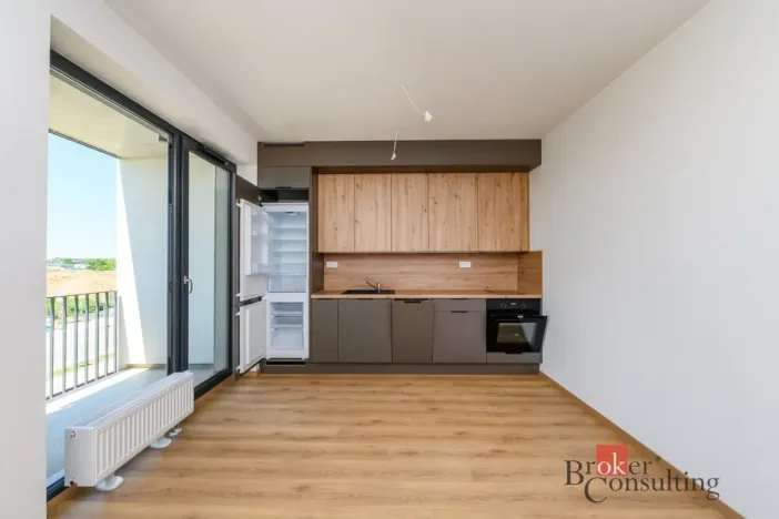 Pronájem bytu 1+kk, Plzeň - Jižní Předměstí, Železná, 29 m2