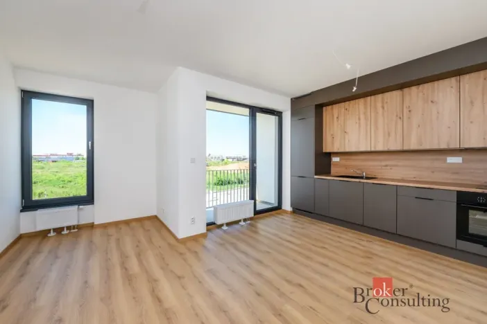 Pronájem bytu 1+kk, Plzeň - Jižní Předměstí, Železná, 29 m2