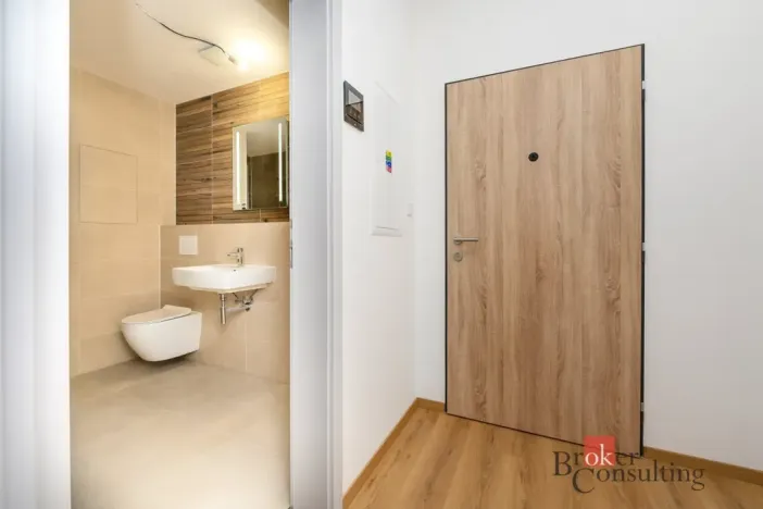 Pronájem bytu 1+kk, Plzeň - Jižní Předměstí, Železná, 29 m2