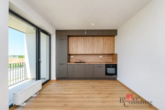 Pronájem bytu 1+kk, Plzeň - Jižní Předměstí, Železná, 29 m2