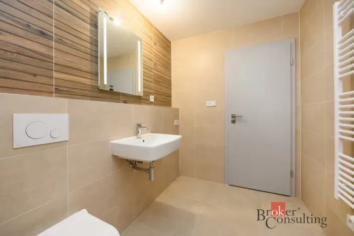 Pronájem bytu 1+kk, Plzeň - Jižní Předměstí, Železná, 29 m2