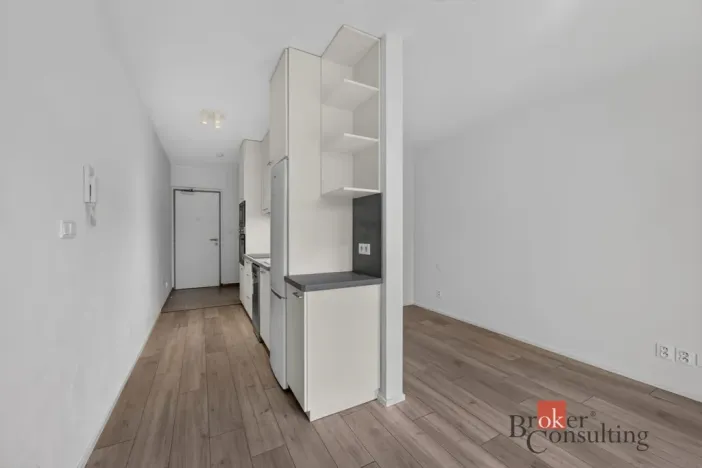 Pronájem bytu 1+kk, Plzeň - Východní Předměstí, 30 m2