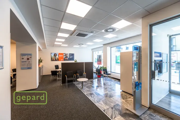 Pronájem obchodního prostoru, Praha - Holešovice, Dělnická, 252 m2