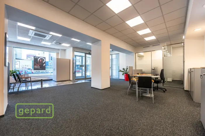 Pronájem obchodního prostoru, Praha - Holešovice, Dělnická, 252 m2