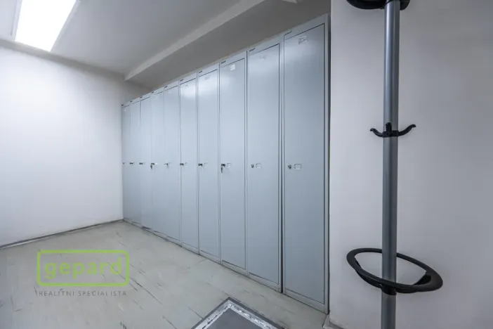 Pronájem obchodního prostoru, Praha - Holešovice, Dělnická, 252 m2