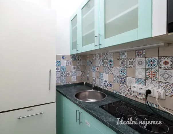 Pronájem bytu 5+kk, Praha - Nové Město, Gorazdova, 110 m2