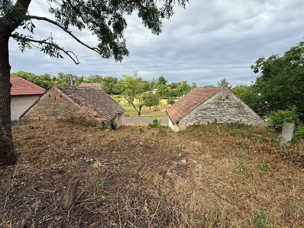 Prodej vinného sklepa, Novosedly, 136 m2