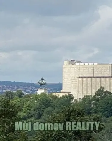 Pronájem bytu 2+kk, Praha - Žižkov, Jeseniova, 48 m2