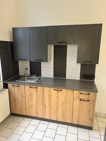Pronájem skladu, Dalovice, Botanická, 550 m2