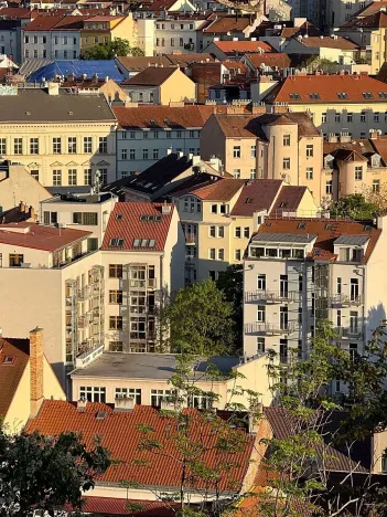 Prodej bytu 2+kk, Praha - Žižkov, Dalimilova, 50 m2