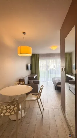 Prodej bytu 1+kk, Dolní Morava, 27 m2