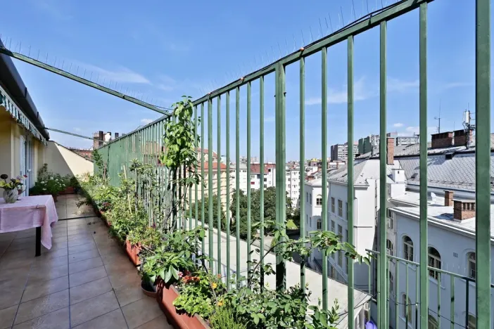 Prodej atypického bytu, Praha - Vršovice, Minská, 320 m2
