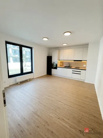 Pronájem bytu 1+kk, Plzeň - Jižní Předměstí, Železná, 37 m2