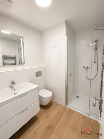 Pronájem bytu 1+kk, Plzeň - Jižní Předměstí, Železná, 37 m2