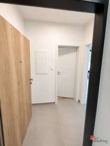 Pronájem bytu 1+kk, Plzeň - Jižní Předměstí, Železná, 37 m2