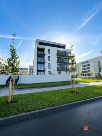 Pronájem bytu 1+kk, Plzeň - Jižní Předměstí, Železná, 37 m2
