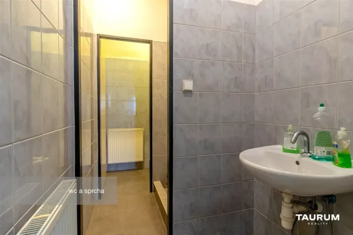 Pronájem obchodního prostoru, Plzeň - Východní Předměstí, Koterovská, 217 m2