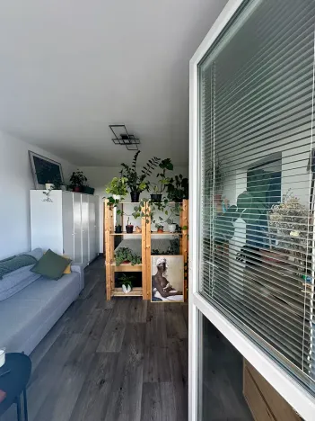 Pronájem bytu 1+1, Brno, Štouračova, 36 m2