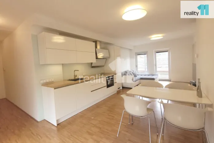 Pronájem bytu 2+kk, Praha - Žižkov, Prokopova, 66 m2